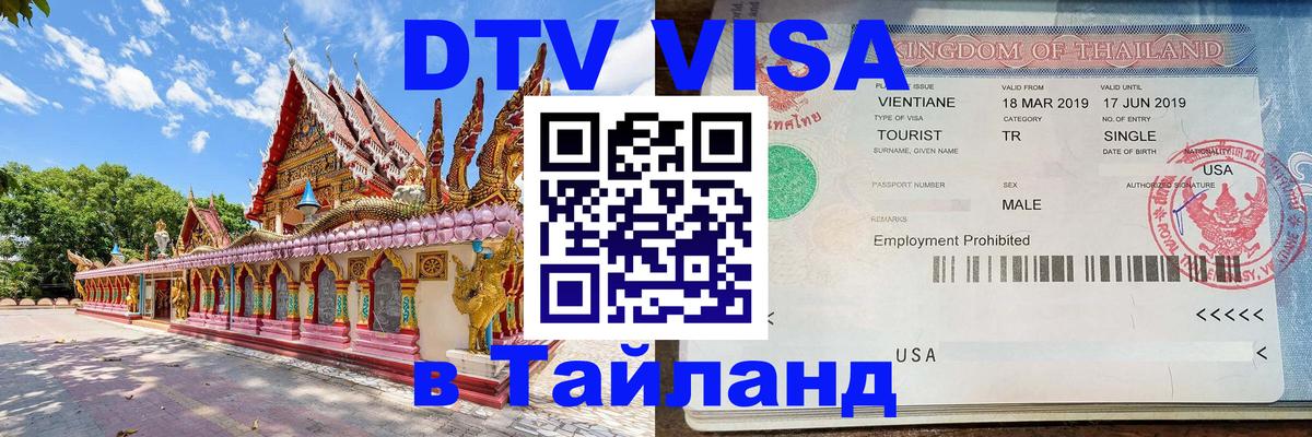 Оформление DTV визы под ключ: стоимость и тарифы, только загранпаспорт - Волжский 